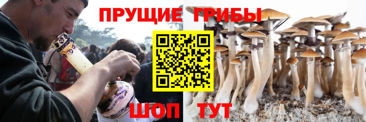 Псилоцибиновые грибы Magic Shrooms  как найти наркотики  Псилоцибиновые грибы ЛСД  Тимашёвск  Вход с VPN 